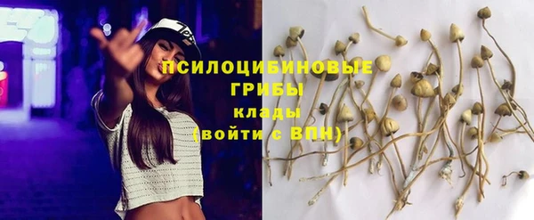 mdpv Каменка