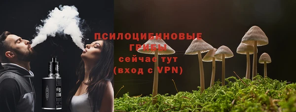 эйфоретик Карпинск