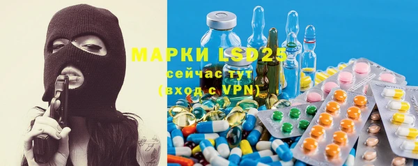 mdpv Каменка
